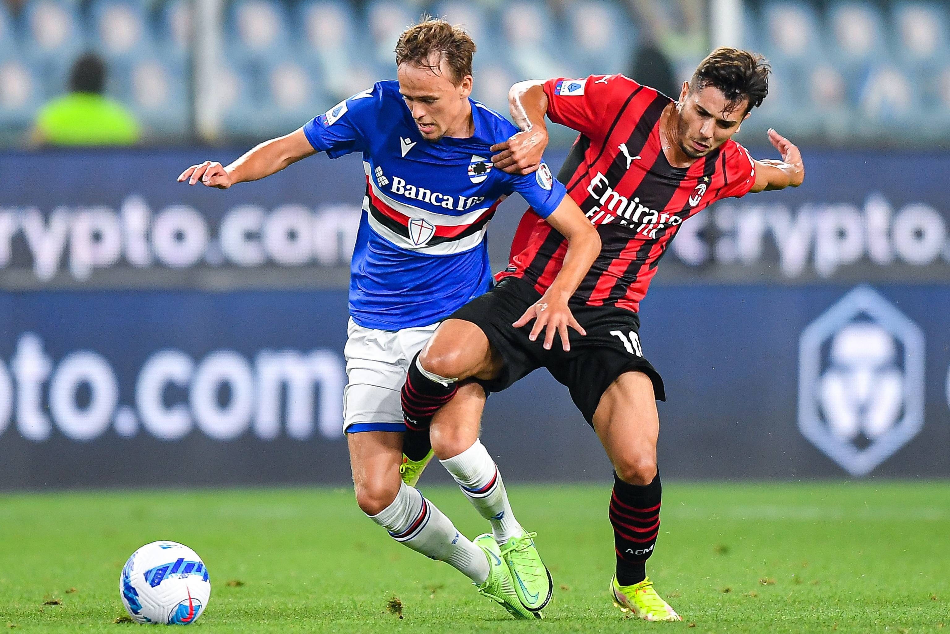 名单的公布 名单的公布