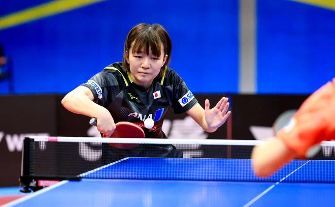 很快便博得 很快便博得