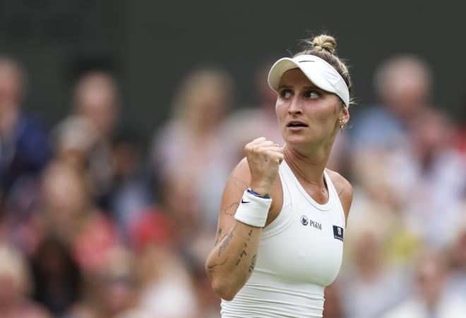 的世界波证 的世界波证